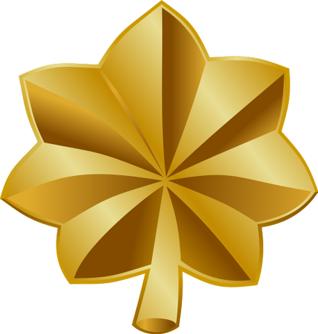File:US Army OF-4.png
