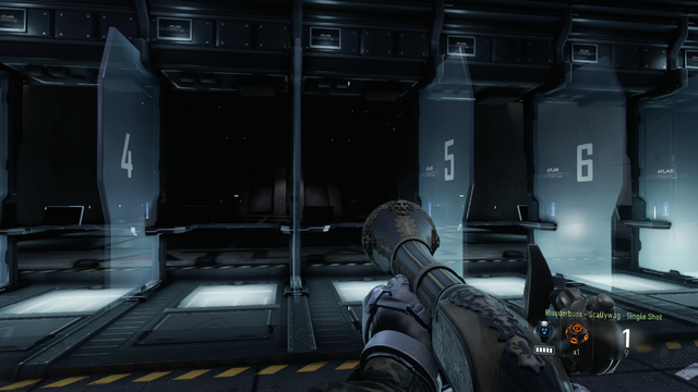 File:Blunderbuss Scallywag AW.png