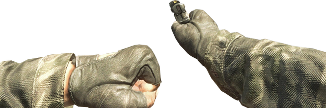 File:ASP Dive to Prone BO.png
