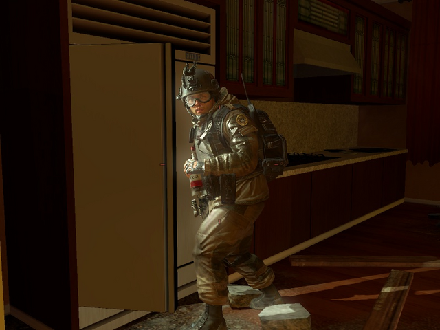 File:Russian Paratrooper on refrigerator MW2.png