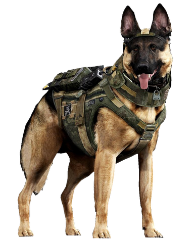 File:Riley render CoDG.png