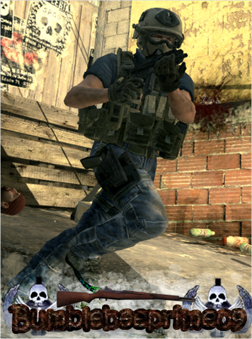 File:Bumblebeetry2.png