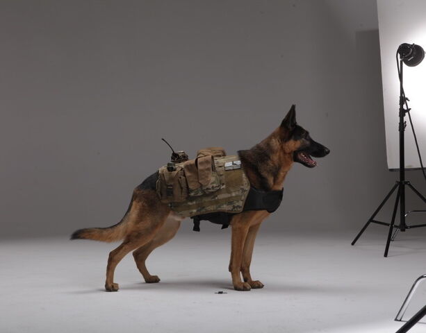 File:Codg Opm-7.jpg