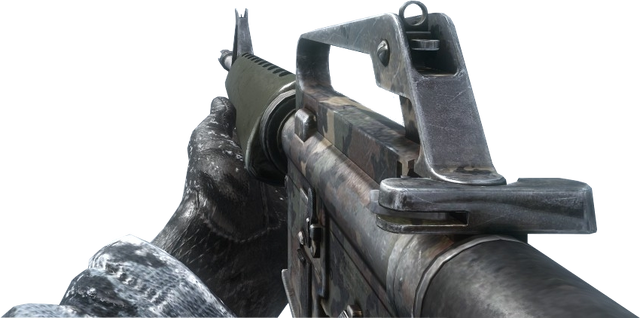 File:M16 ERDL BO.png
