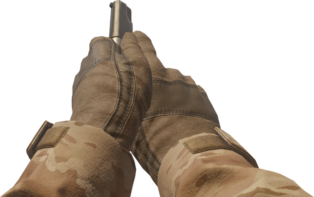 File:M1911 .45 Inspect 3 MWR.png