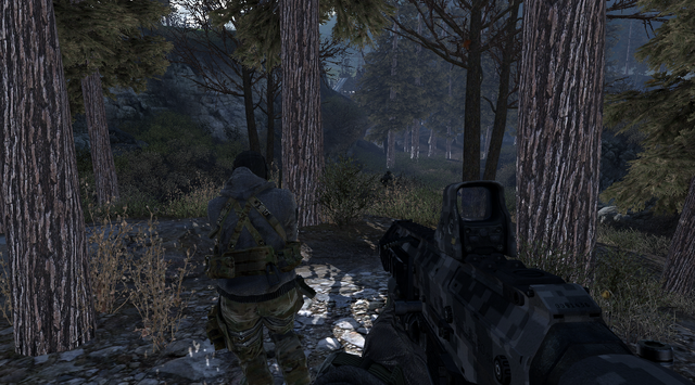 File:Woods Loose Ends MW2.png
