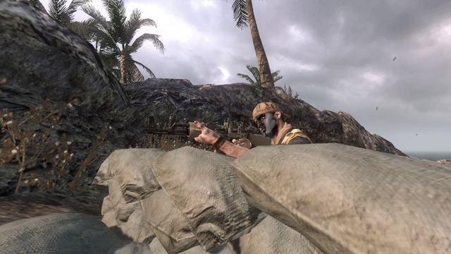 File:AdvancedRookie Crisis Op40 soldier taking aim.png