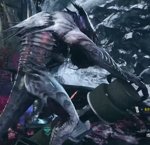 File:Scout Nightfall CoDG.png