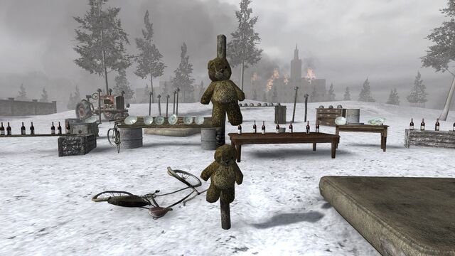 File:Teddy Bears Training CoD2.jpg