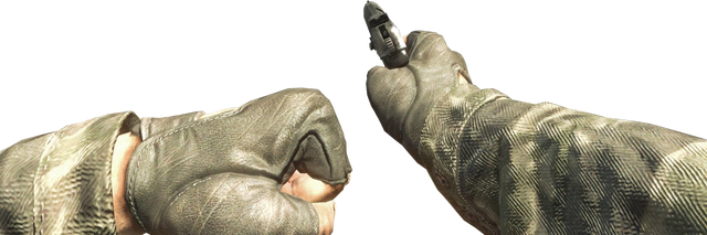 File:Makarov Dive to Prone BO.png