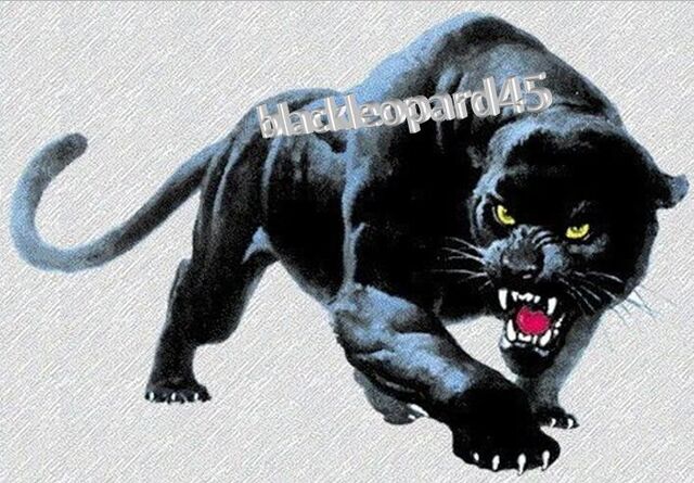 File:Blackleopard45-logo.jpg