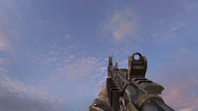 File:AA-12 Hex MW3.jpg