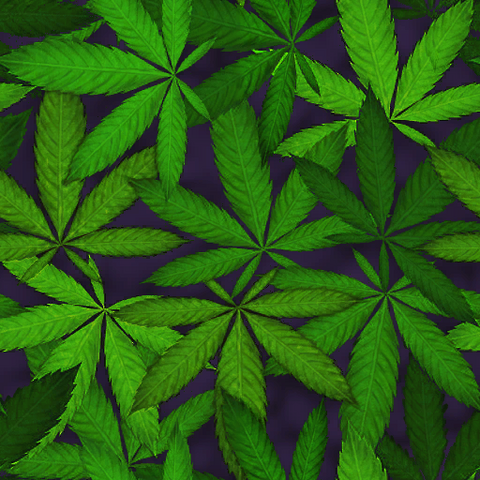 File:Hidden Camouflage 12 CoDG.png