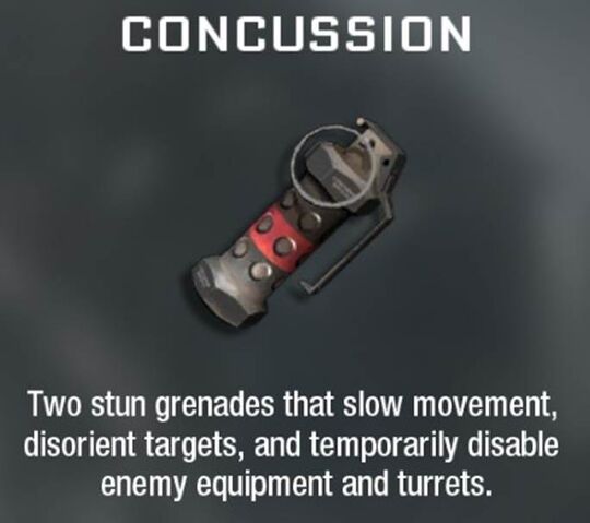 File:Concussion Grenade Create-A-Class BO.jpg