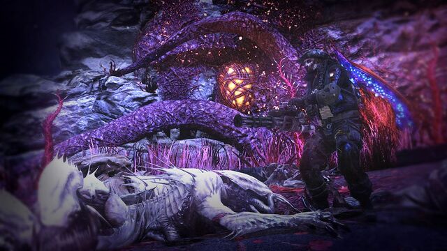 File:Awakening Completionist CoDG.jpg
