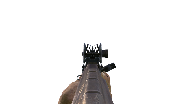 File:AKS74U ADS CoDO.png