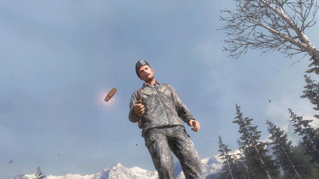 File:Roach's Death MW2.jpg