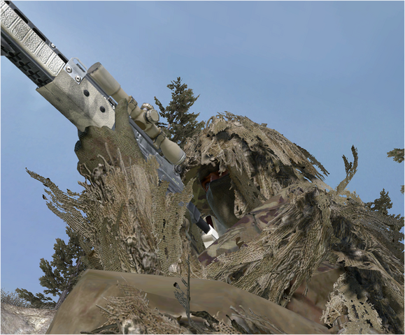 File:Toad M14 EBR MW2.png