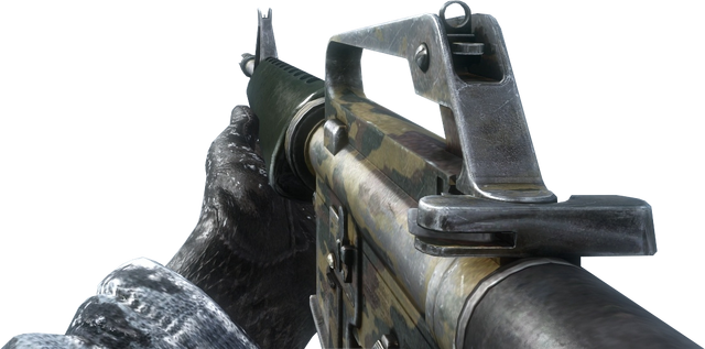 File:M16 Flora BO.png