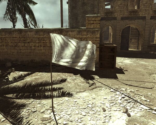 File:Domination blank flag MW3.jpg
