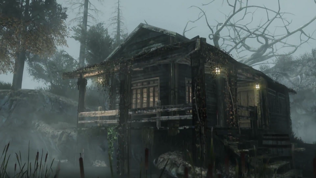 File:Fog4 CoDG.png