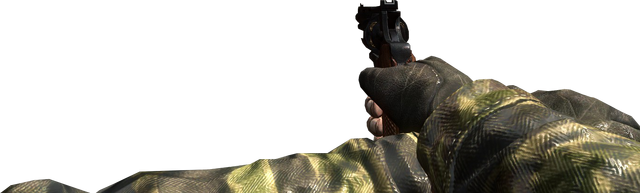 File:Python Flashlight BO.png