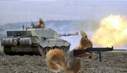 Squirrelarmy