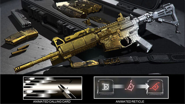 File:Bullethawk Personalization Pack Promo.jpg