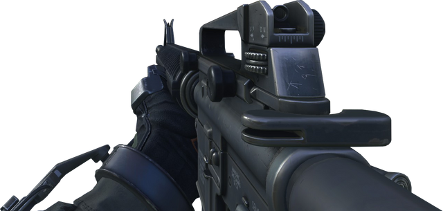 File:M16 AW.png