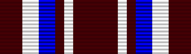 File:Medal, Content Victory.png