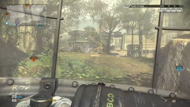 File:Riot Shield First Person CoDG.png