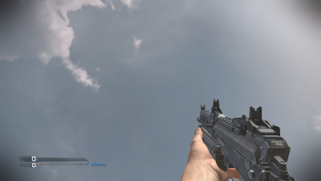 File:Bizon Tracker Irons CoDG.png