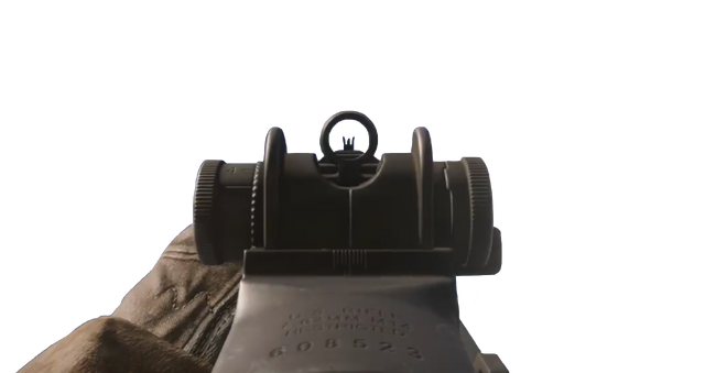 File:M14 Sights MWR.png