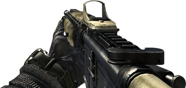 File:Personal Maxwell123 M16A4 MW2.png