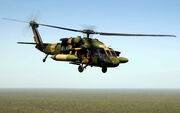 Black hawk