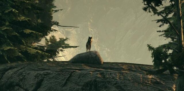 File:Thegreatcoyote.jpg