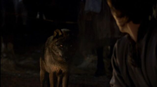 File:Leontes-and-the-wolf.jpg