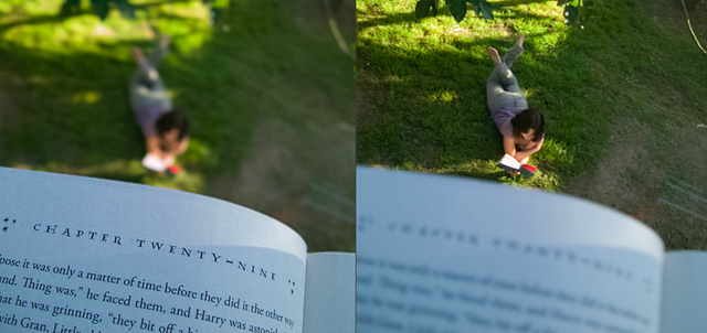 File:Lytro-Before-and-After-book.png