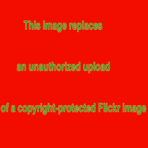 File:1764300108 6c2c8e6451 m.jpg