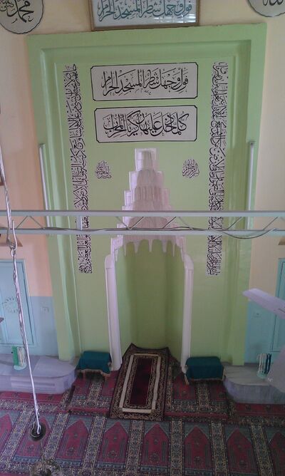 IMAG0233.jpg