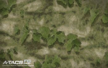 A-TACS woodland