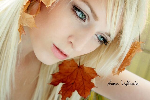 File:Herbst by acoach.jpg
