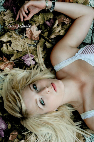 File:Leaves by acoach.jpg