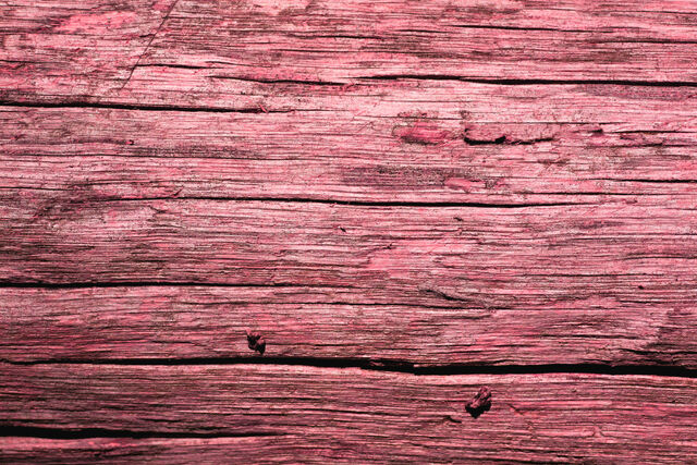File:NikkiWood.jpg