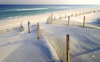 White-sandy-beach-wallpaper-1680x1050