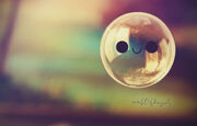 Bubble3