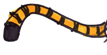 File:Community-header-background