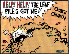 LeafPile