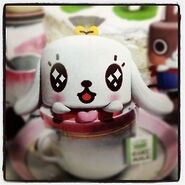 Mimi Canimals Wiki Fandom Powered By Wikia Mimi Canimals Wiki Fandom Powered By Wikia