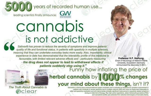 File:Cannabis is safe and not addictive.jpg